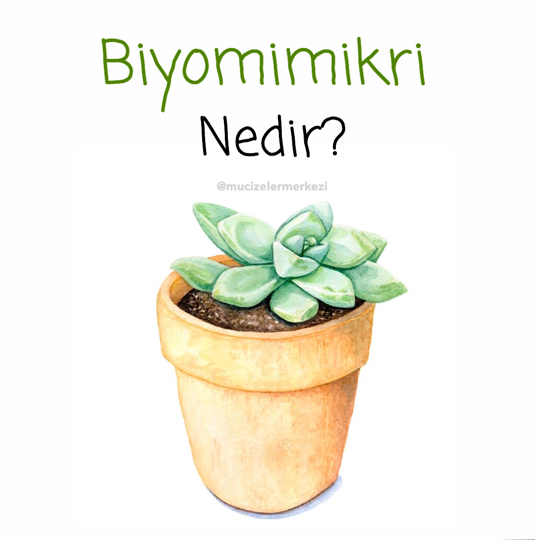 Mucizeler Merkezi